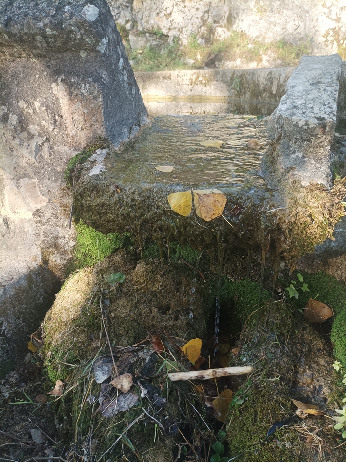 Touron_23062026.jpg